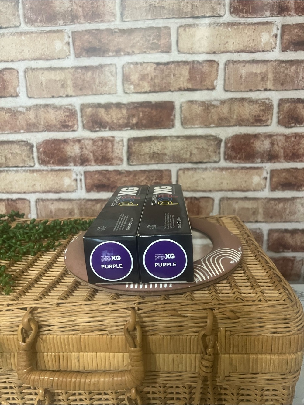 Paul Mitchell XG Purple Hair Color (Purple)